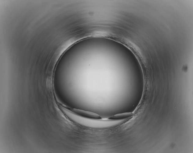 X0000094331473200711091353