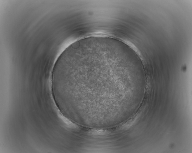 X0000094331474200711091353