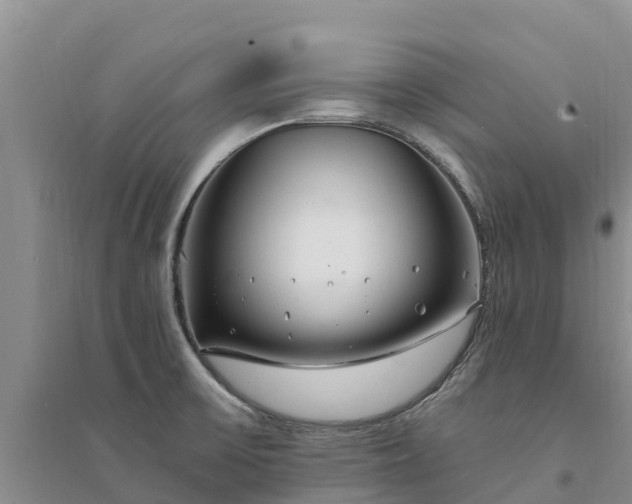X0000094331475200711091353