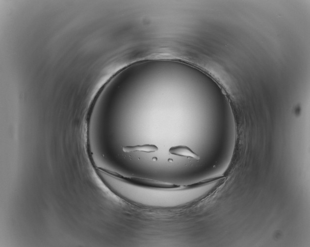 X0000094331476200711091353