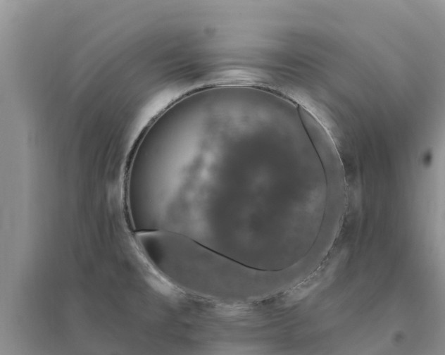 X0000094331477200711091353