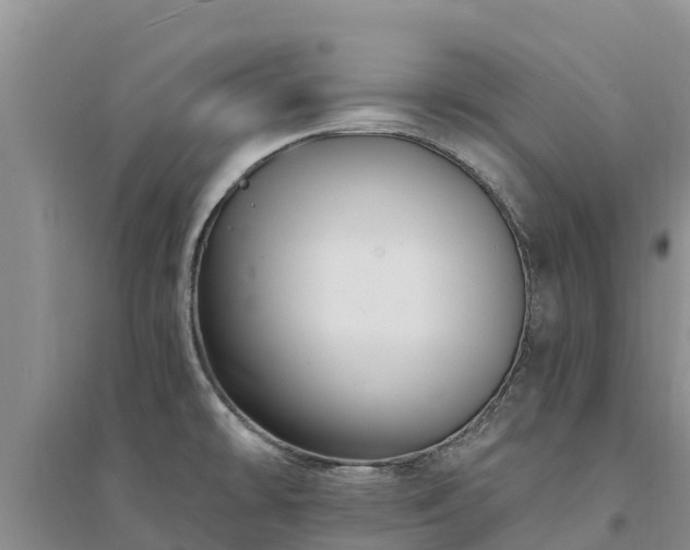 X0000094331478200711091353