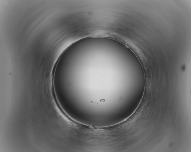 X0000094331479200711091353