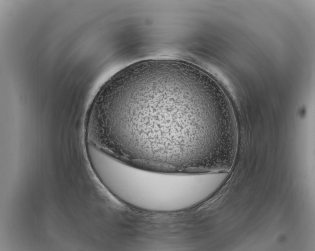 X0000094331480200711091353