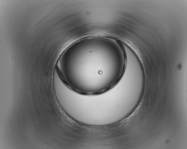 X0000094331481200711091353