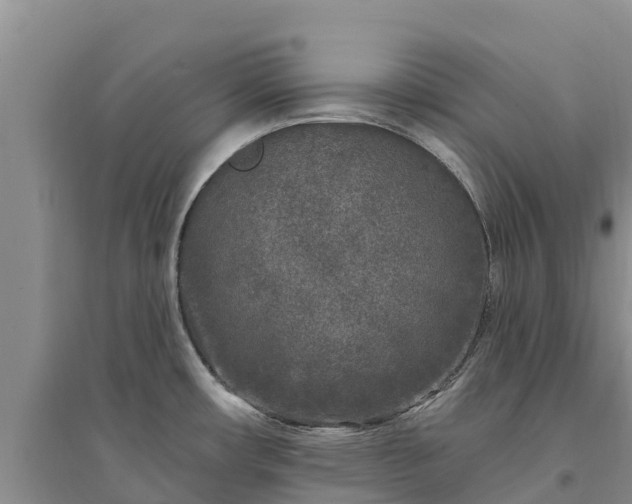X0000094331482200711091353