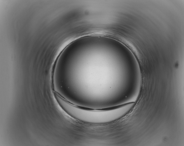 X0000094331483200711091353