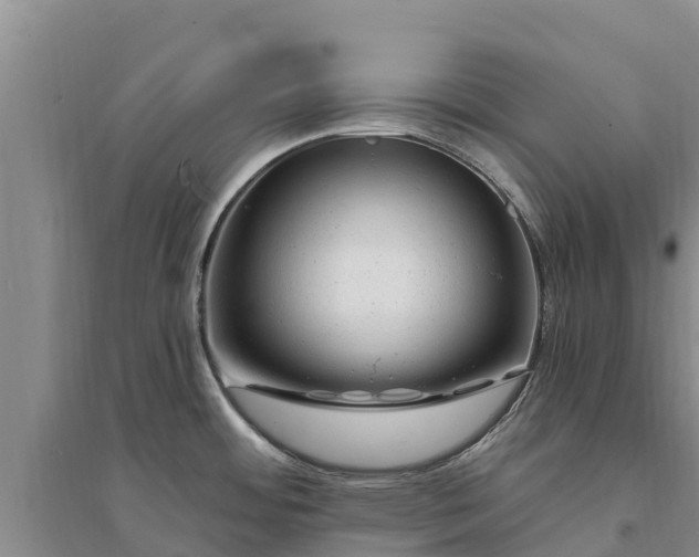 X0000094331484200711091353