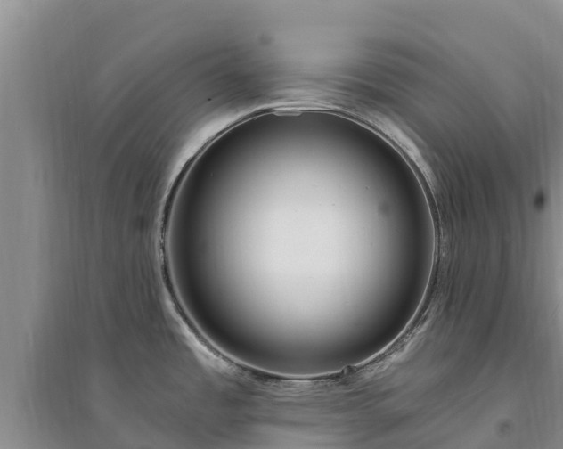 X0000094331485200711091353