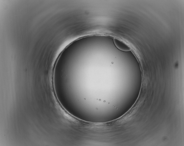 X0000094331486200711091353