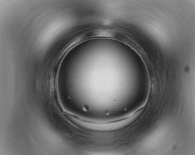 X0000094331487200711091353