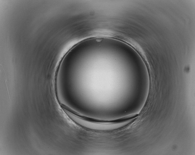 X0000094331488200711091353