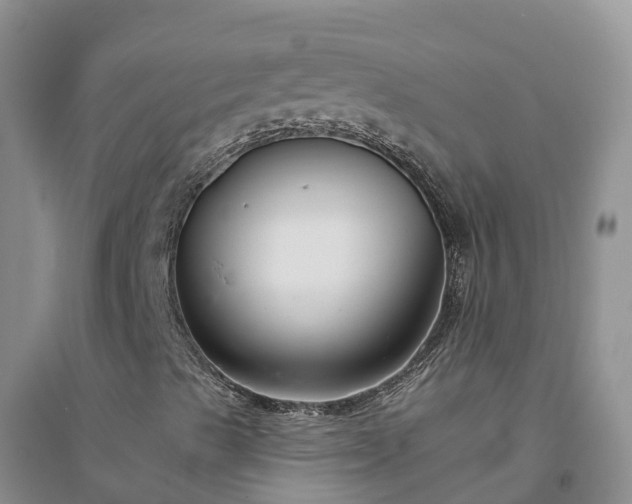 X0000094331489200711091352
