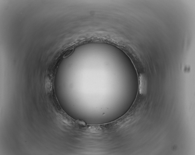 X0000094331491200711091352