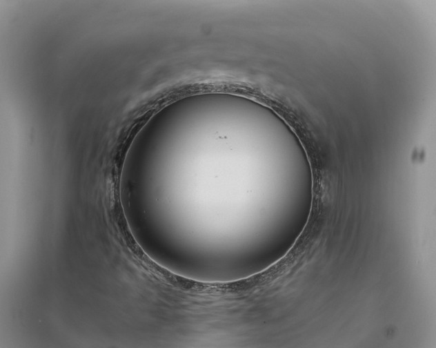 X0000094331493200711091352