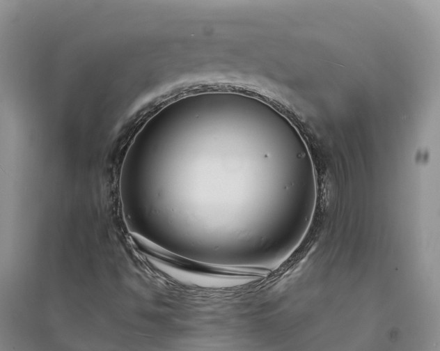 X0000094331494200711091352