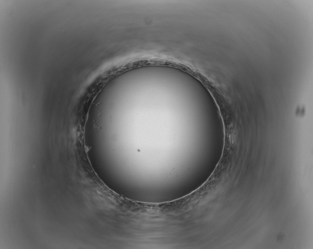 X0000094331495200711091352