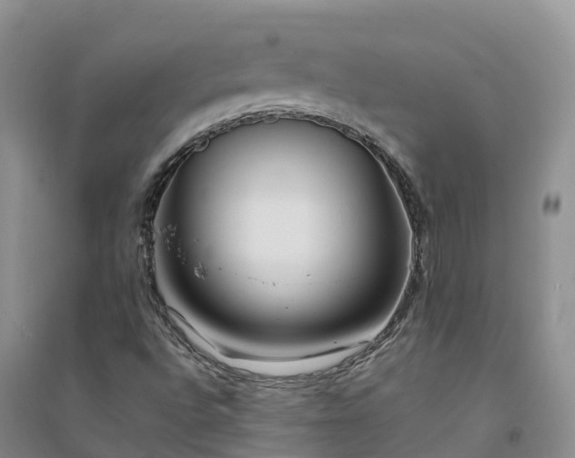 X0000094331496200711091352