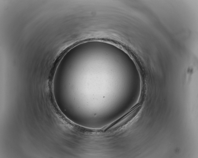 X0000094331497200711091352