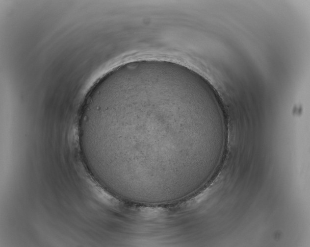 X0000094331498200711091352