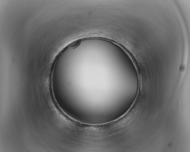 X0000094331500200711091352