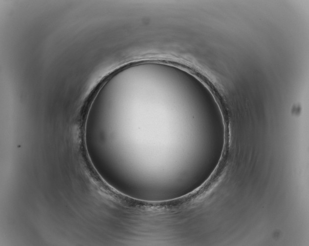 X0000094331501200711091353