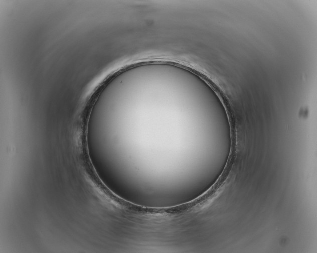 X0000094331502200711091353