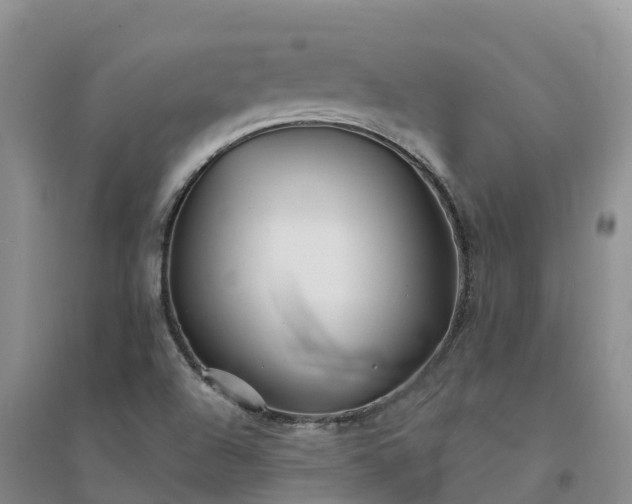 X0000094331504200711091353