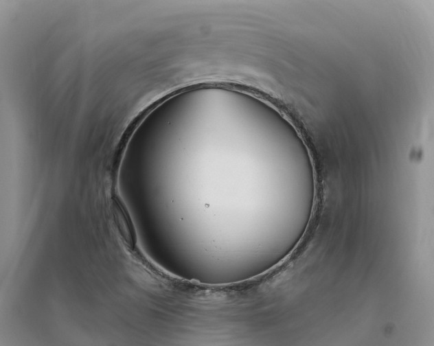 X0000094331505200711091353