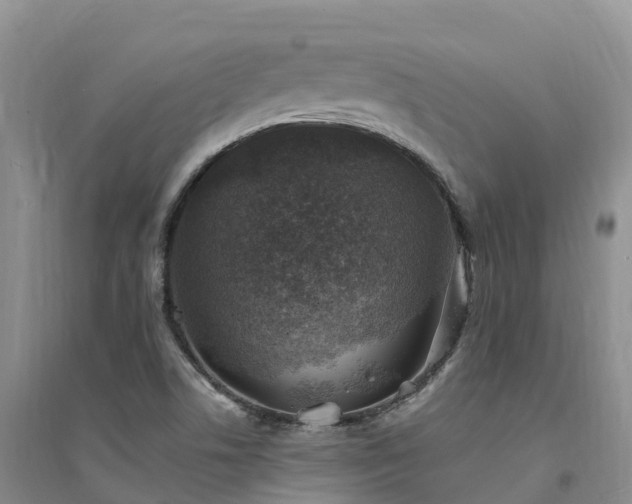X0000094331506200711091353
