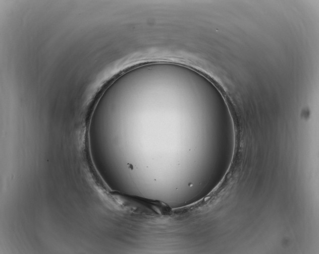 X0000094331507200711091353