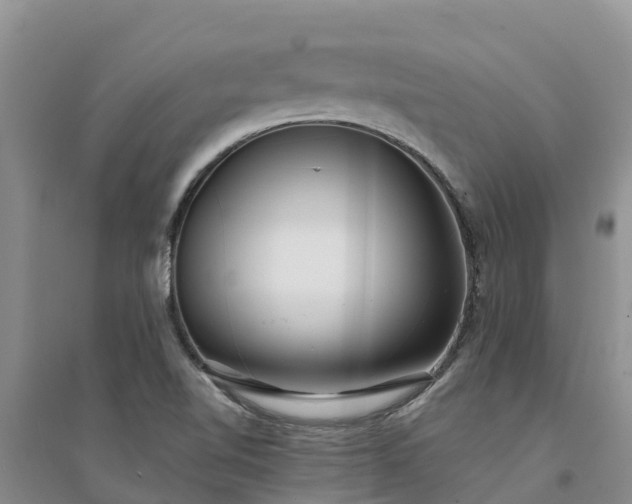 X0000094331510200711091353