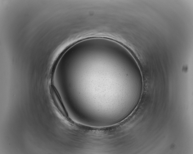 X0000094331511200711091353