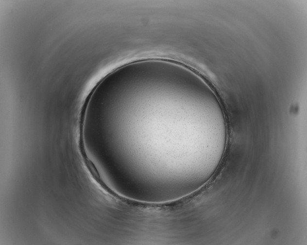 X0000094331512200711091353