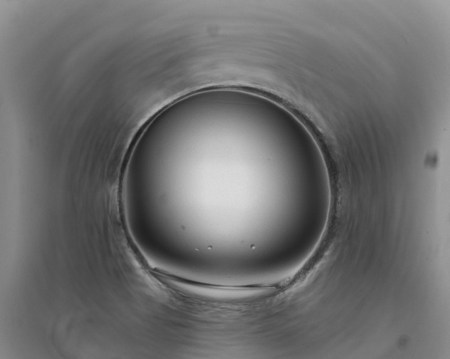 X0000094331513200711091353