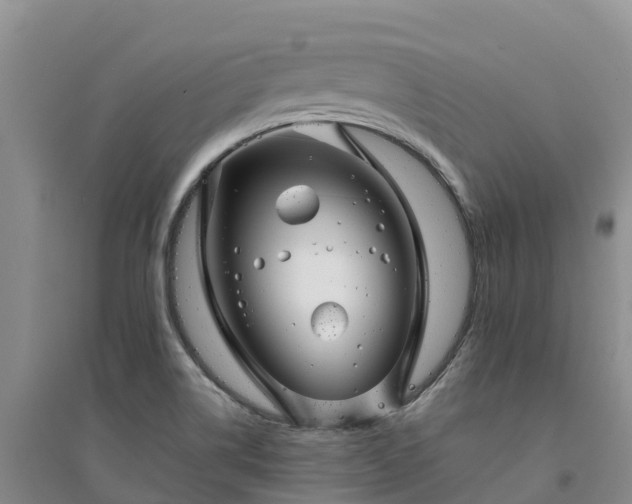 X0000094331514200711091353