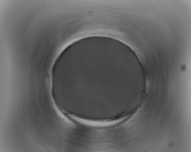 X0000094331515200711091353