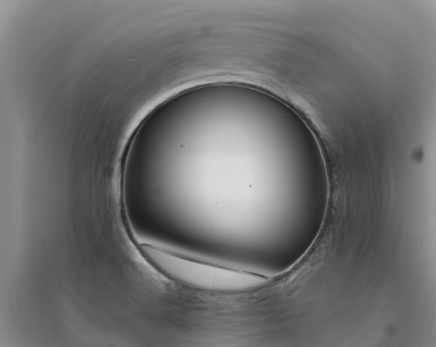 X0000094331516200711091353