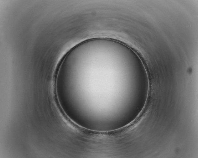 X0000094331517200711091353