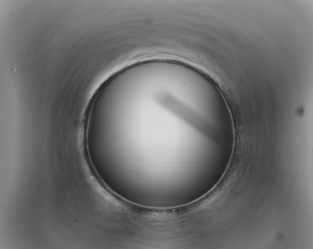X0000094331518200711091353