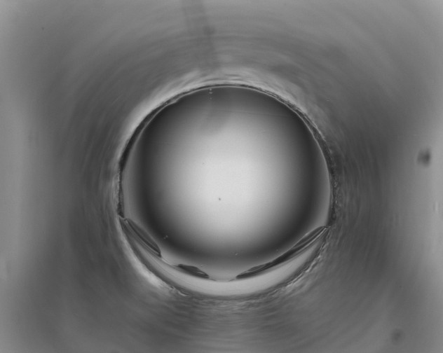 X0000094331519200711091353