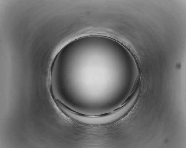 X0000094331520200711091353