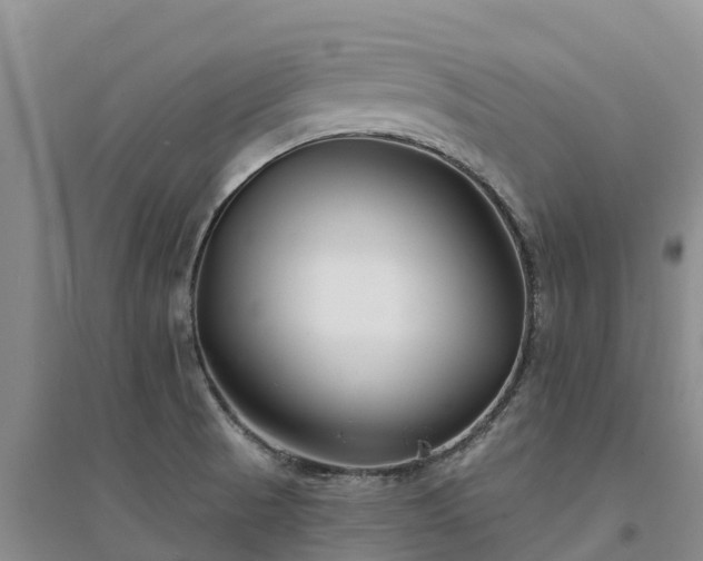 X0000094331521200711091353