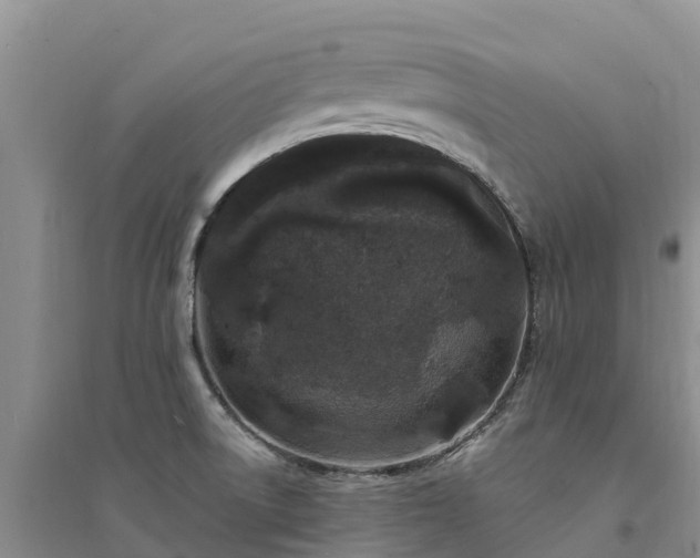 X0000094331522200711091353