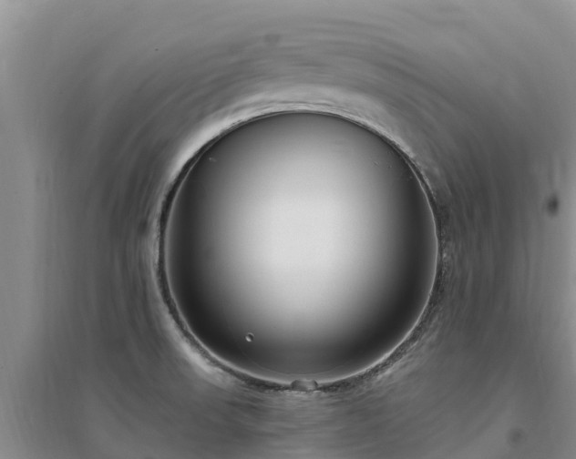 X0000094331523200711091353