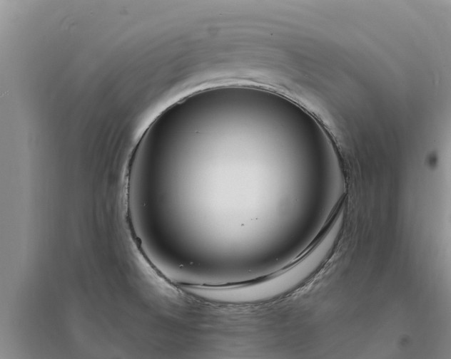 X0000094331524200711091353