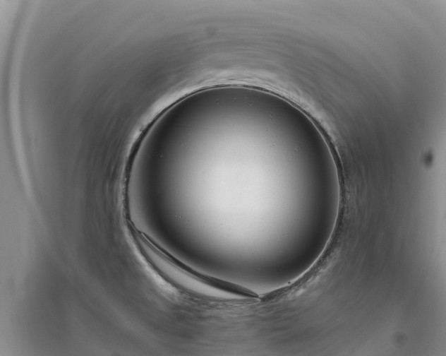 X0000094331525200711091353