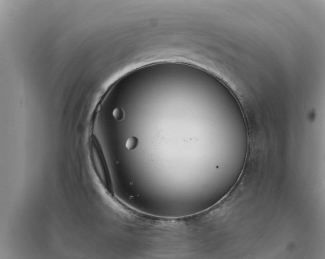 X0000094331526200711091353