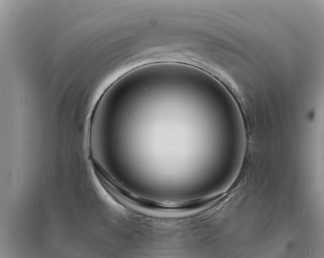 X0000094331528200711091353