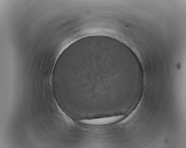 X0000094331529200711091353